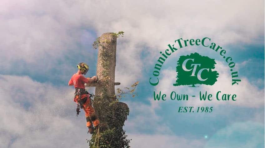 Shot of a tree surgeon at the top of the tree with a chainsaw